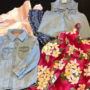 Lot of 3T girls 2 dress 1 skirt 2 tops spring
